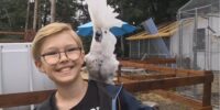Lea med ung gæst